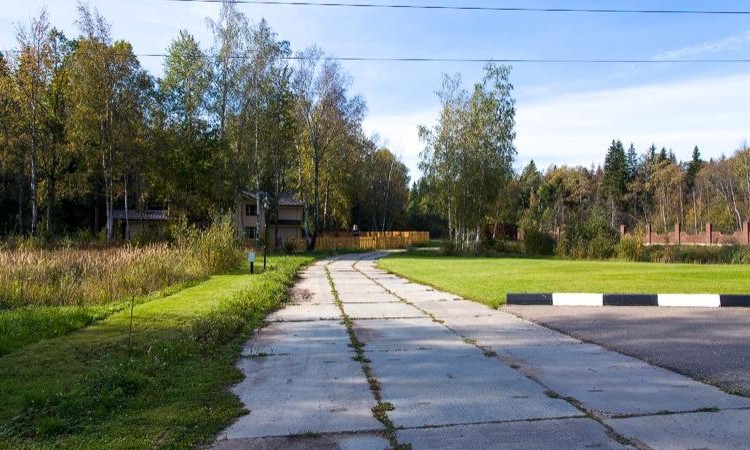 Соловьи