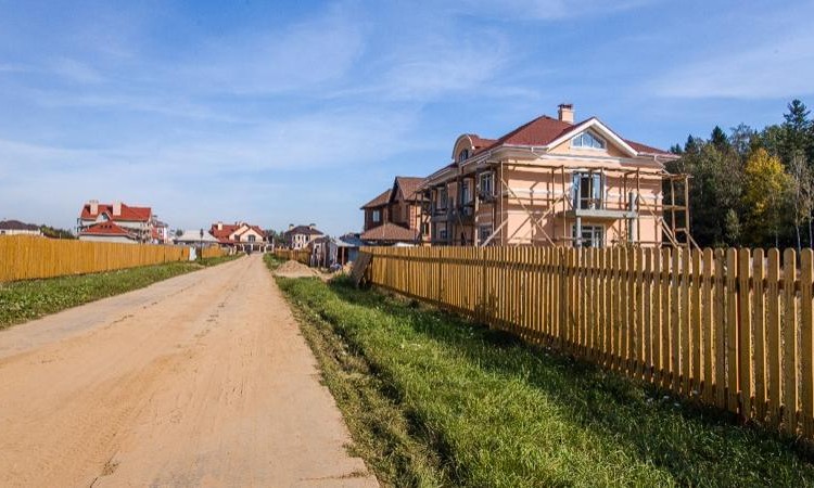 Соловьи