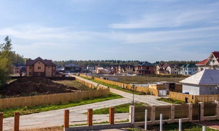 Соловьи