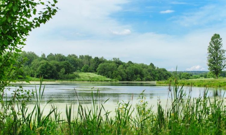 Талицкие берега