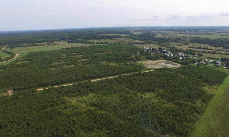 Твоя Вотчина (Country Estates)