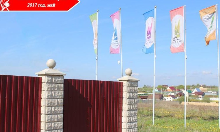Тихие берега