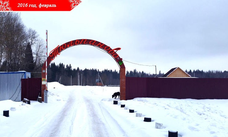 Тюльпаново