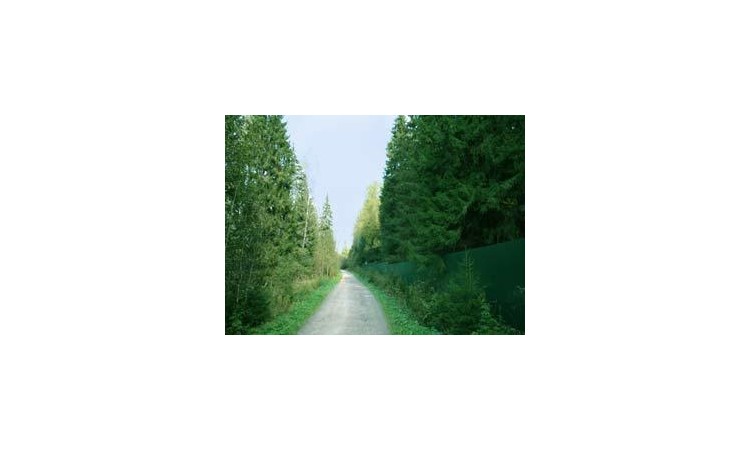 Холмы 1