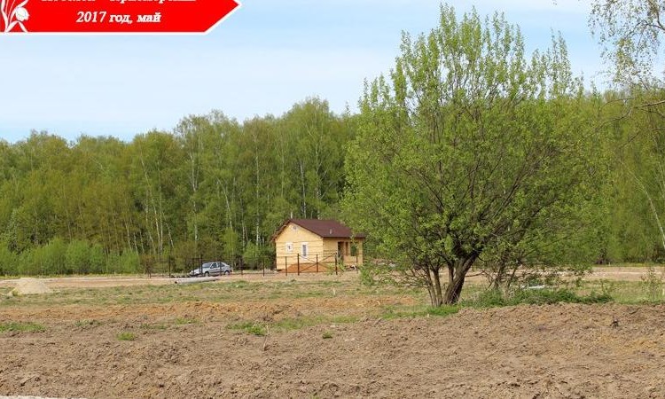 Черноморский