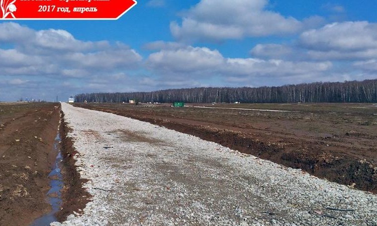 Черноморский