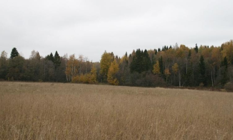 Шапилово