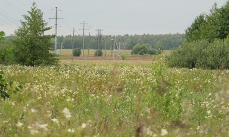 Южное полесье