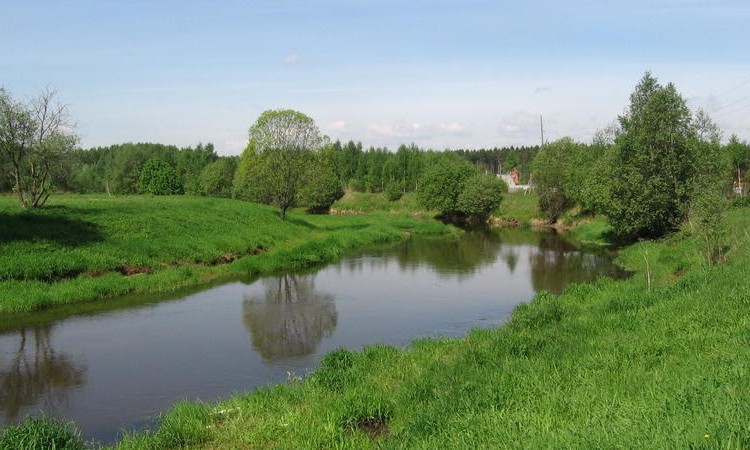 Раздолье (Пушкинский район)
